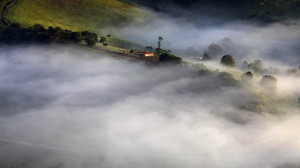Туман над фермой в Бразилии
