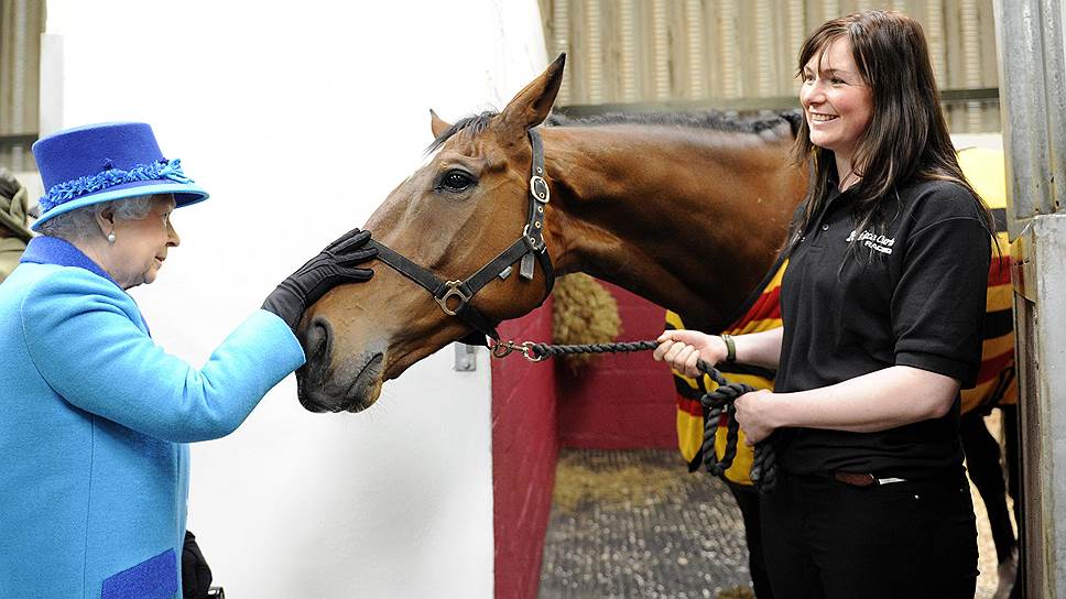 Елизавета II гладит бывшего фаворита Национальных скачек Великобритании Teaforthree во время посещения госпиталя для лошадей в Уэльсе