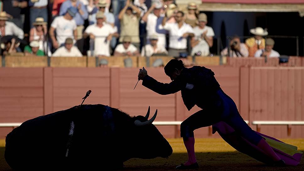 Помощник матадора добивает раненого быка на арене в Севилье