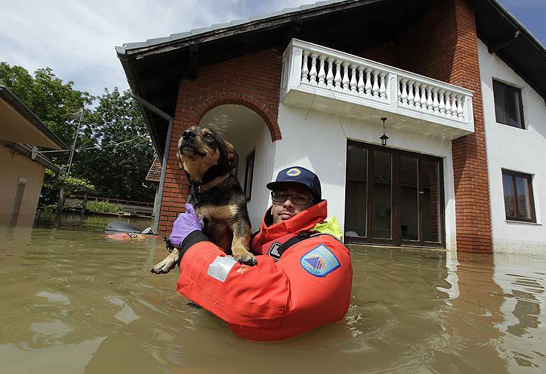 Спасатель из Словении эвакуирует собаку из зоны затопления в боснийской деревне Пруд