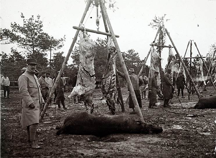 Ряды мертвых животных, убитых для прокорма солдат