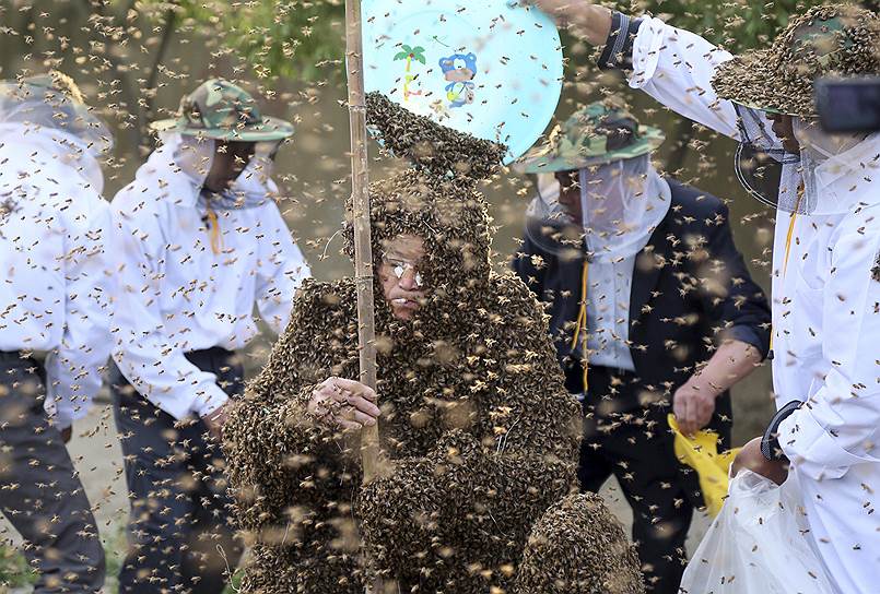 Попытка установить новый мировой рекорд по количеству пчел, покрываюших тело, была предпринята китайцем Гао Бинго в Тайане, провинция Шаньдун. По сообщениям местных СМИ, господину Бинго удалось разместить на своем теле более 326 тысяч пчел одномоментно