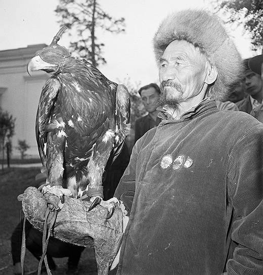 Охотник Исмаил Джиримбаев из колхоза имени Сталина Алма-Атинской области со своим беркутом, 1954 год