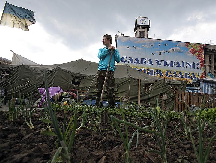 Огород на Майдане в центре Киева