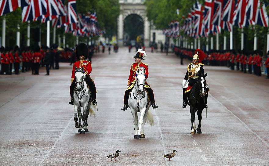 Утки на дороге перед членами почетной гвардии во время Церемонии открытия очередной сессии парламента в Лондоне