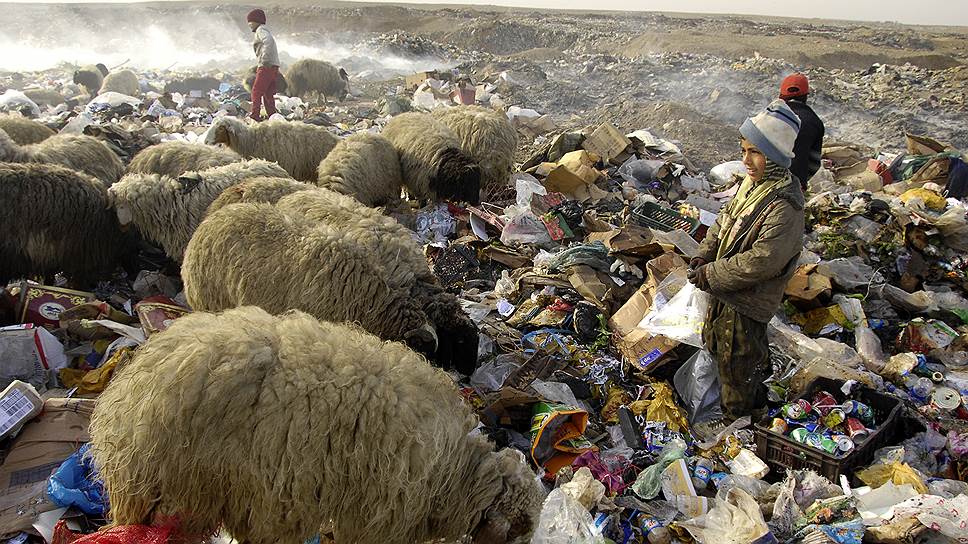 Сборщики мусора на свалке в Тикрите, Ирак