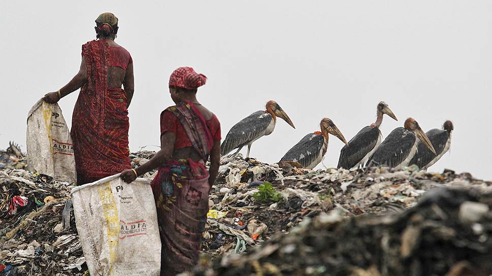 Гувахати, Индия. Местные жители собирают пластик для переработки по случаю Всемирного дня окружающей среды