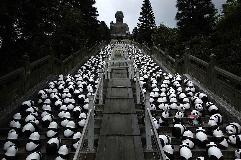 Инсталляция французского художника Пауло Гранжеона «1600 панд» у статуи Большого Будды в Гонконге