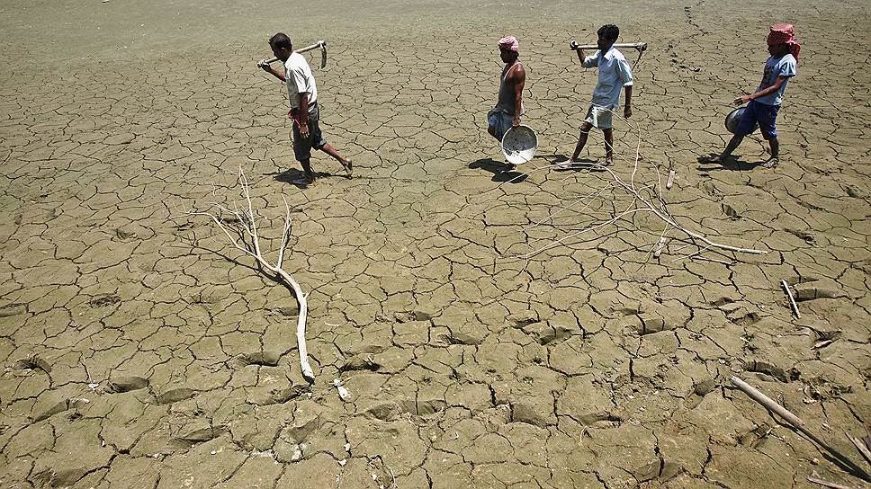 Юг и запад Индии в 2013 году столкнулись с сильнейшей засухой за четыре десятилетия