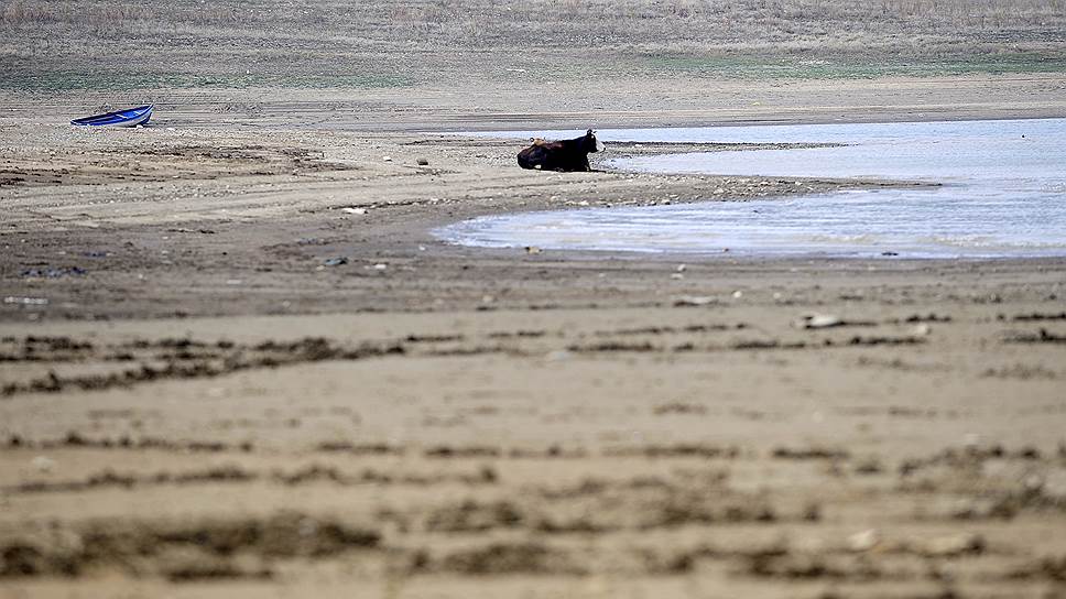 Сильнейшая засуха обрушилась на Балканы в 2012 году. Валовый сбор зерна тогда сократился в пять раз