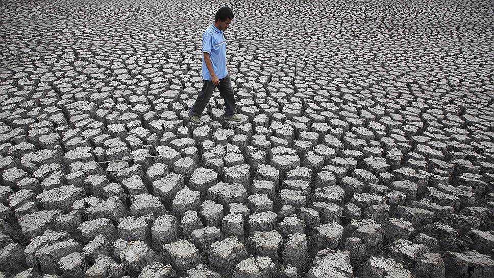 Каждый год опустынивание и засуха приводят к потерям сельскохозяйственной продукции ориентировочно на сумму $42 млрд