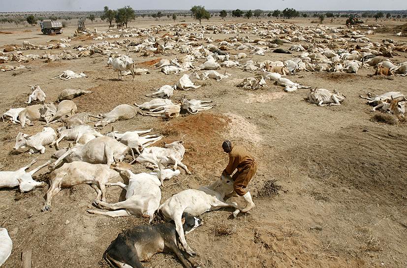 Сильнейшая за последние 60 лет засуха обрушилась на страны Восточной Африки в 2011 году. Наибольшие проблемы в Эфиопии, Сомали и Кении, что не мешает кенийским властям заявлять, что туристам засуха не помеха 