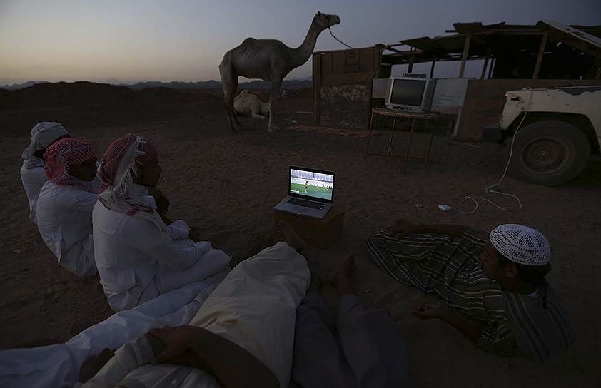 Мужчины смотрят трансляцию матча Чемпионата мира между командами Нидерландов и Австралии на верблюжьем рынке в Дабе, Саудовская Аравия