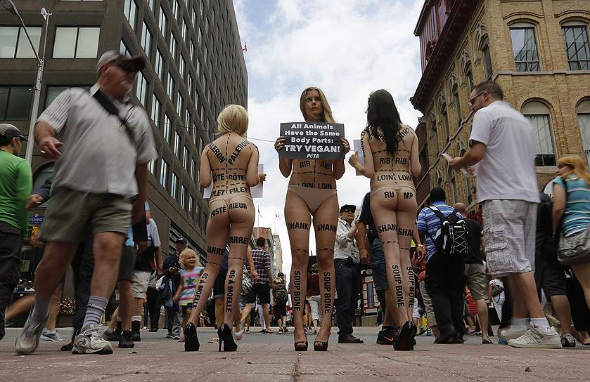 Акция протеста активистов PETA против проведения фестиваля мяса Ribfest в Оттаве