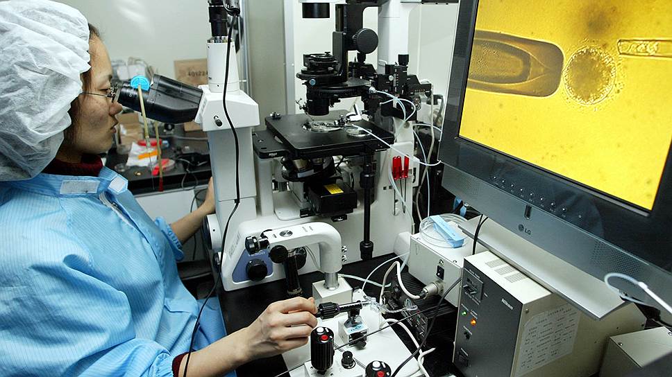 2004 год. Правительственная комиссия Японии решила разрешить клонирование человеческих эмбрионов в исследовательских целях