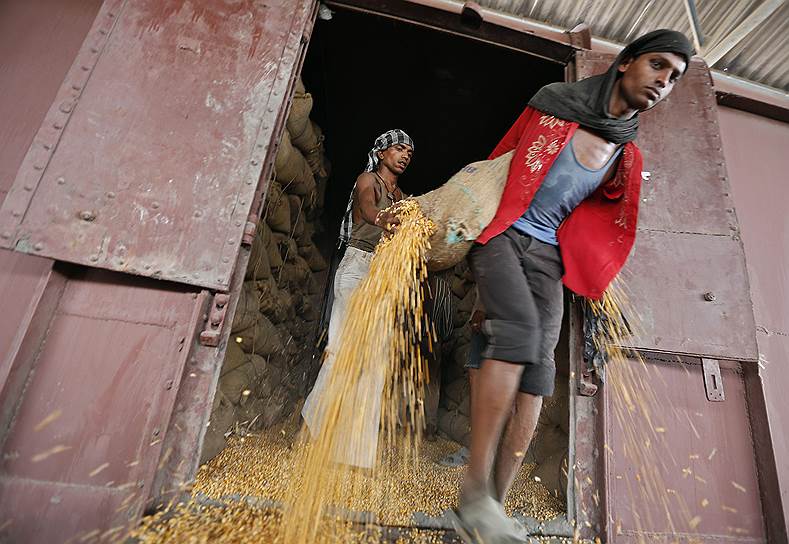 Работник выгружает мешки с кукурузой в Ахмедабаде, Индия