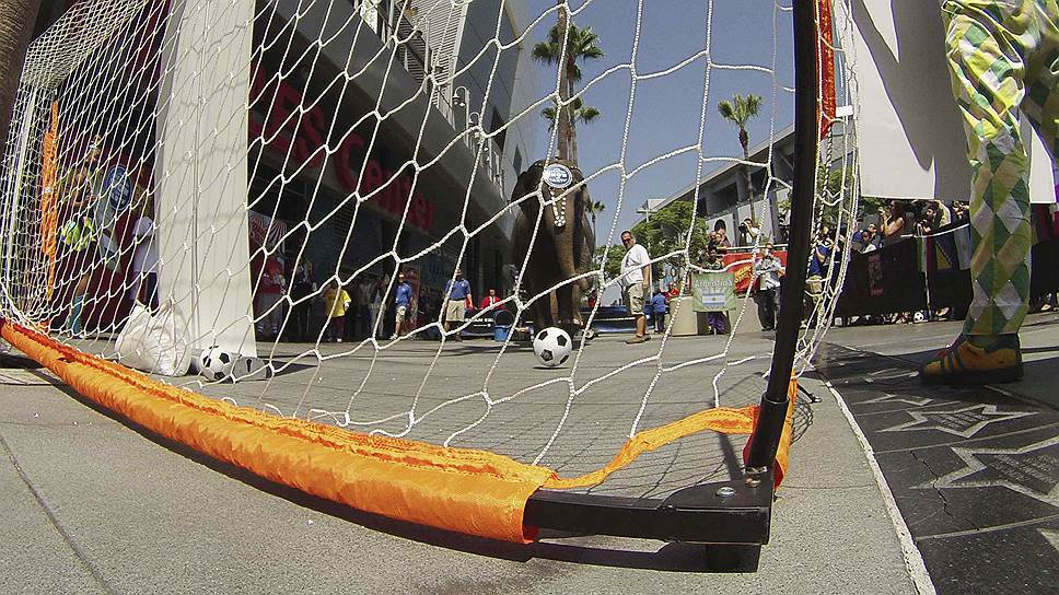 Цирковая слониха по кличке Келли Энн играет в футбол в Лос-Анджелесе, штат Калифорния