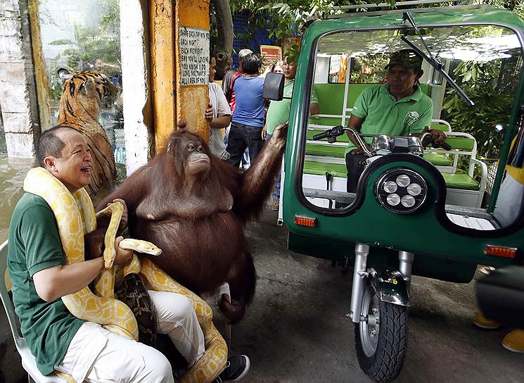 Владелец зоопарка «Malabon» в Маниле, Филиппины, со своими питомцами