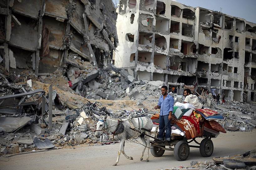 Палестинцы на повозке, запряженной ослом, Сектор Газа