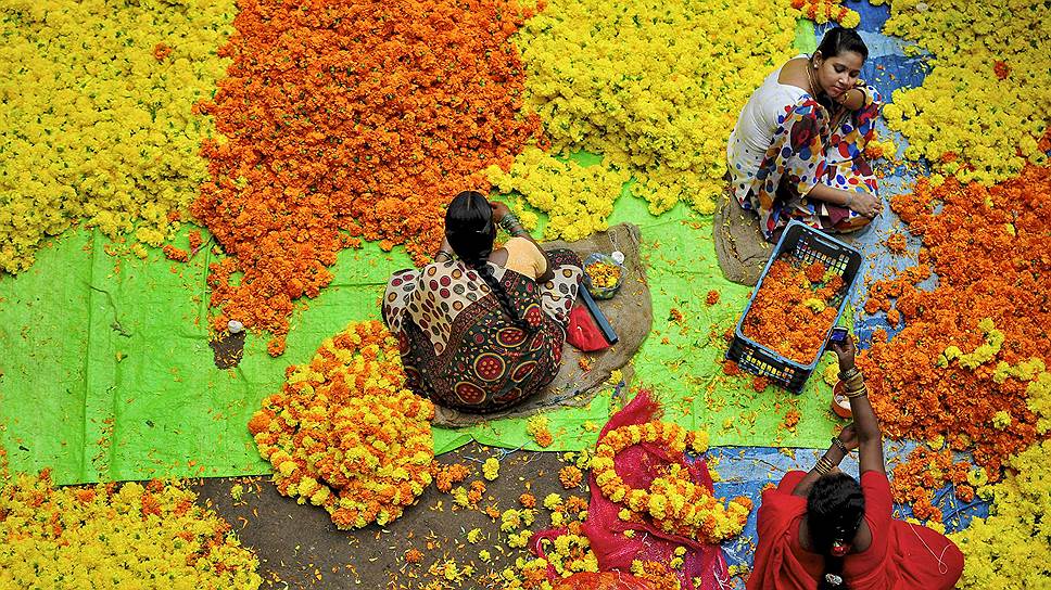 Продавцы сидят на цветочном рынке в городе Бангалор (Индия)