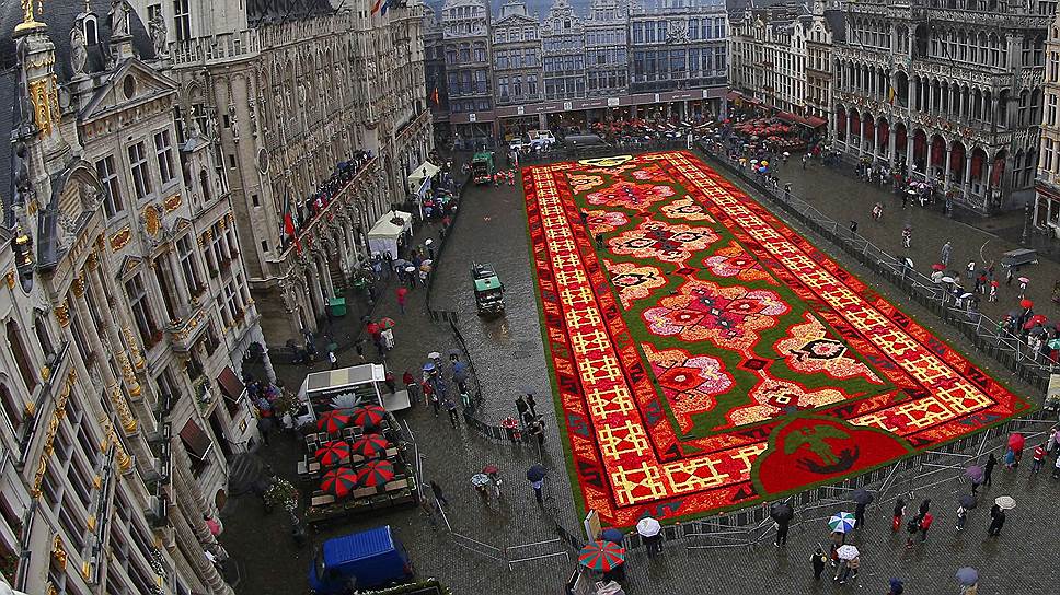 Гигантский цветочный ковер в центре Брюсселя