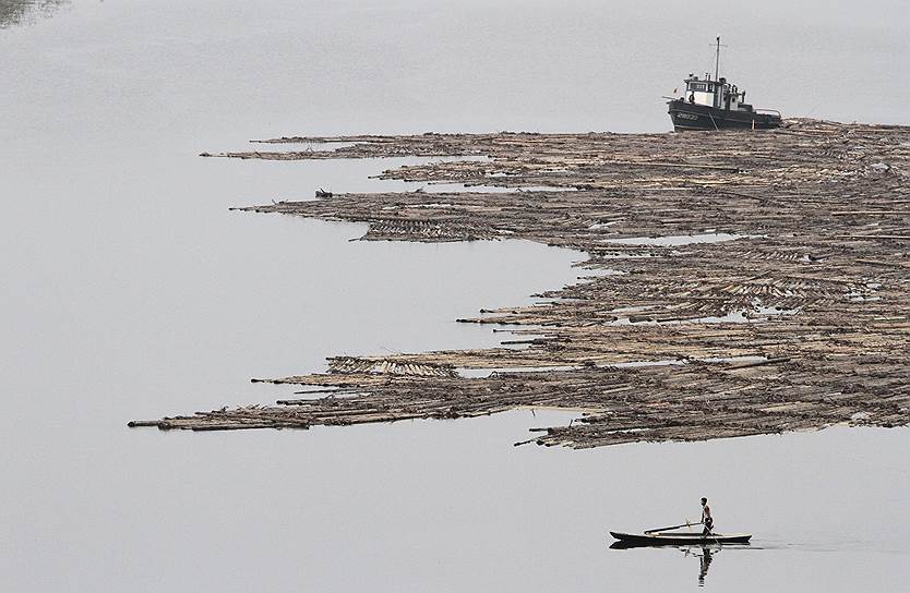 Сплав леса по реке Ялуцзян недалеко от северокорейского города Хесан