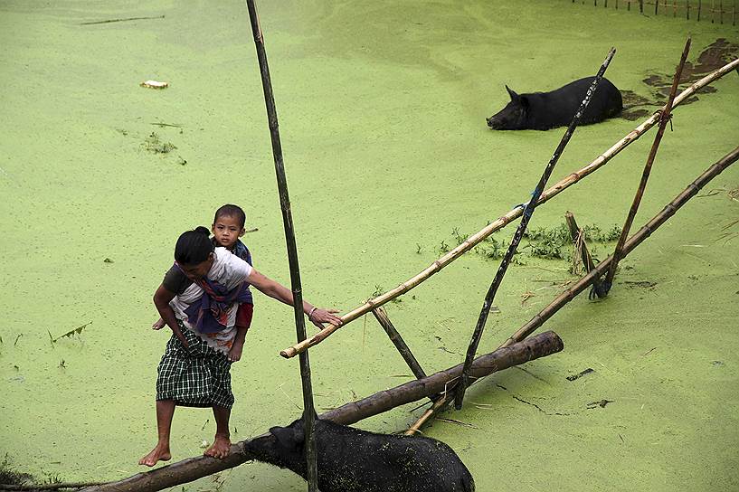 Временный мост из бамбука в затопленном районе индийского штата Ассам