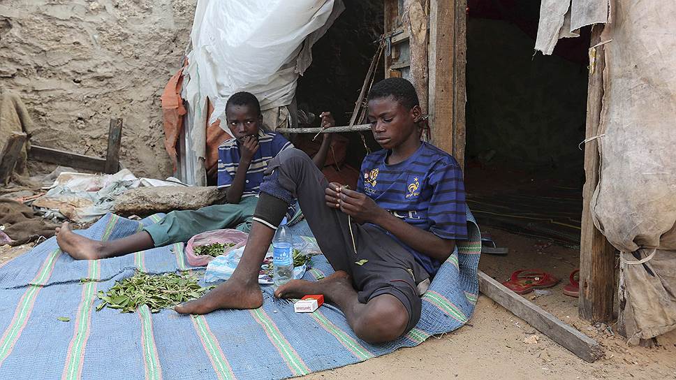Распространением ката в Сомали занимаются даже подростки. 14-летний Али Абди (на фото справа) собирает остатки ката на рынке и перепродает их. «Обычно я зарабатываю около $2-3, которые отдаю родителям»,— говорит он