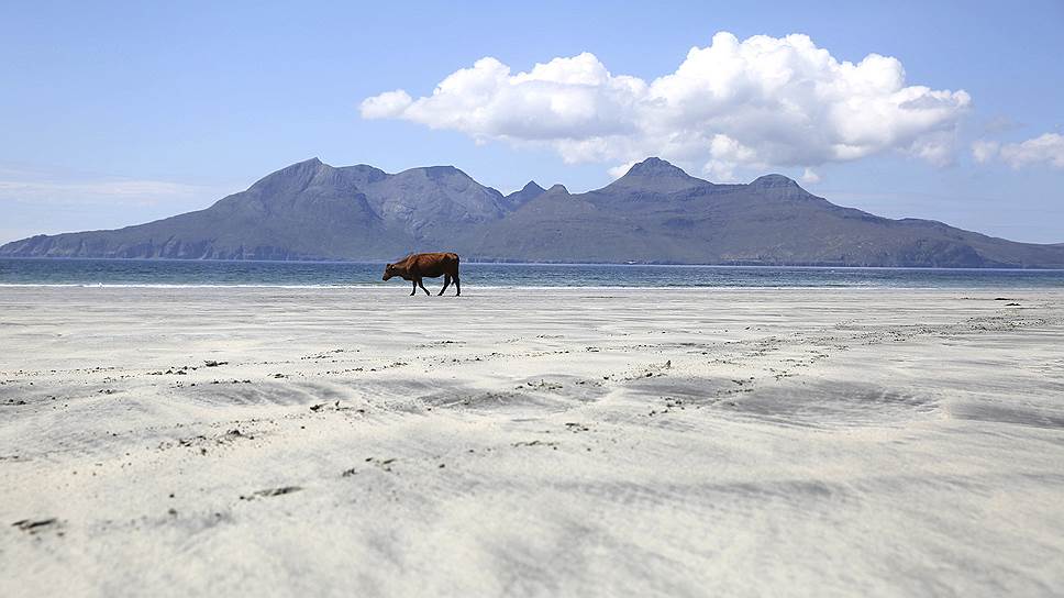 Шотландский остров Эгг считается одним из самых «зеленых» островов в мире. Он известен не только благодаря своей нетронутой первозданной природе, но и из-за применения на его территории передовых технологий