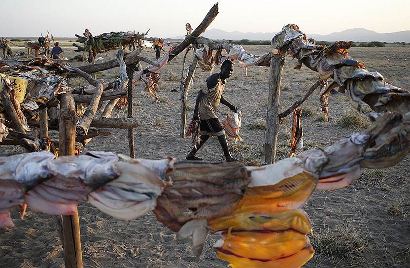 Рыбацкий лагерь на западном берегу озера Туркана,  недалеко от границы между Кенией и Эфиопией 