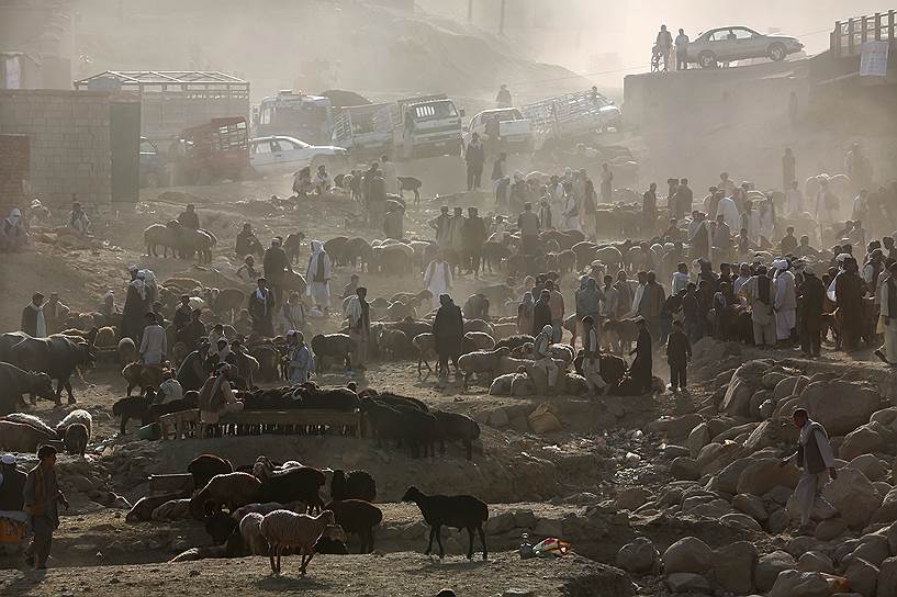 Рынок скота в Кабуле, Афганистан