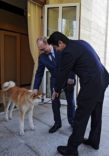 В июне 2012 года губернатор префектуры Акита Норихиса Сатакэ подарил российскому президенту щенка редкой породы акита-ину. Собаку назвали Юмэ, что в переводе с японского означает Мечта