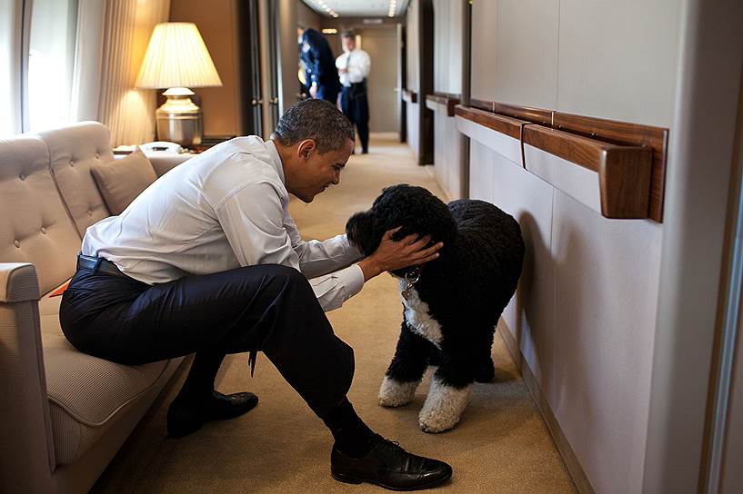 2011 год. Президент Барак Обама со своим псом Бо