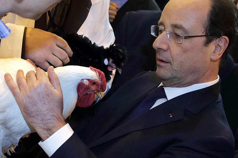 2014 год. Президент Франции Франсуа Олланд с петухом на сельскохозяйственной выставке