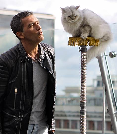 2011 год. Голливудский актер Антонио Бандерос перед началом пресс-конференции, посвященной выходу в прокат мультфильма «Кот в сапогах 3D»