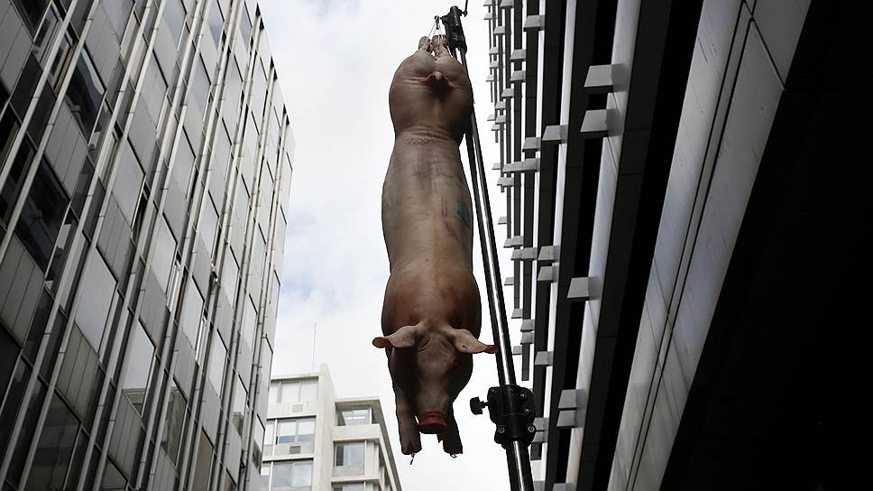 Свинья, подвешенная у здания Минфина Греции, во время митинга протестов против экономической политики страны