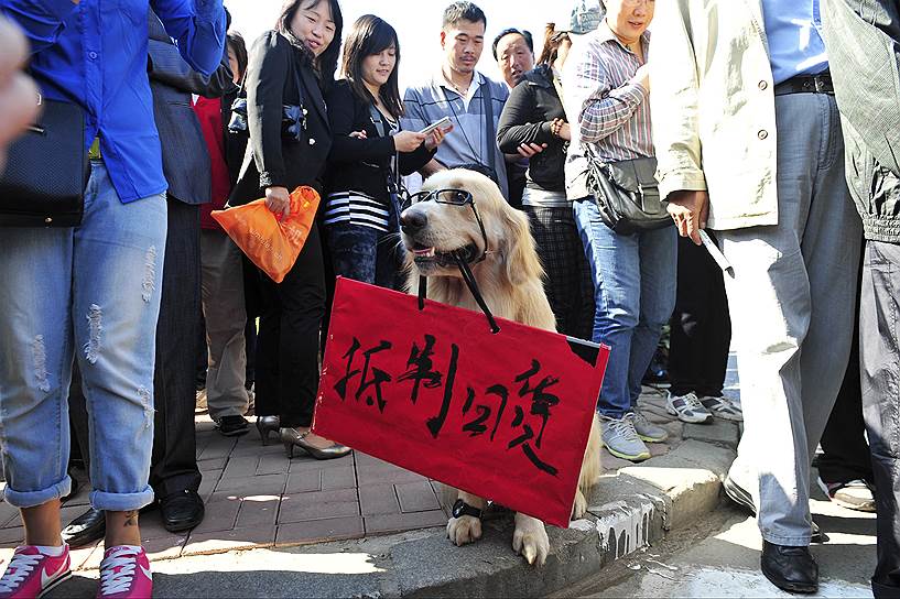 Протесты в  Китае