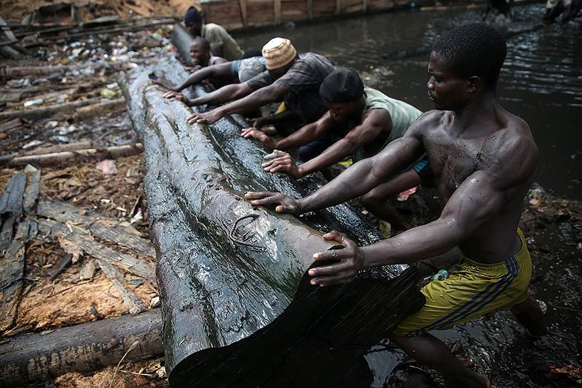 Лагос, Нигерия. Рабочие вытаскивают бревно из воды рядом с лесопилкой Окобаба на берегу Лагосской лагуны