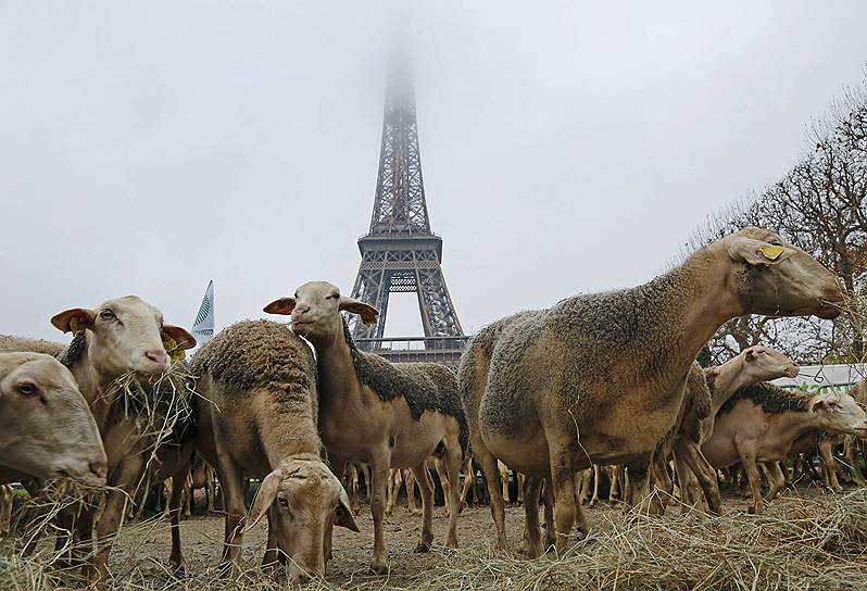 Париж, Франция. Акция протеста фермеров возле Эйфелевой башни
