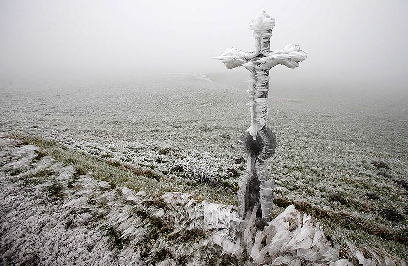 Химберг, Австрия. Последствия ледяного дождя в регионе