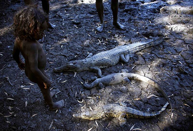 Охота на крокодилов — занятие опасное. Хотя аборигены берут с собой на охоту даже маленьких детей, о привезенных туристах они почти не заботятся. Не редки случаи, когда при разделке добытой туши внутри животного находят останки неудачливого охотника. При этом аборигены никакой отвественности за то, что может произойти на охоте, не несут