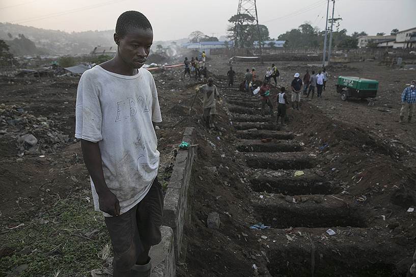 Фритаун, Сьерра-Леоне. Могильщик смотрит на свежевырытые могилы для погибших от вируса Эбола 