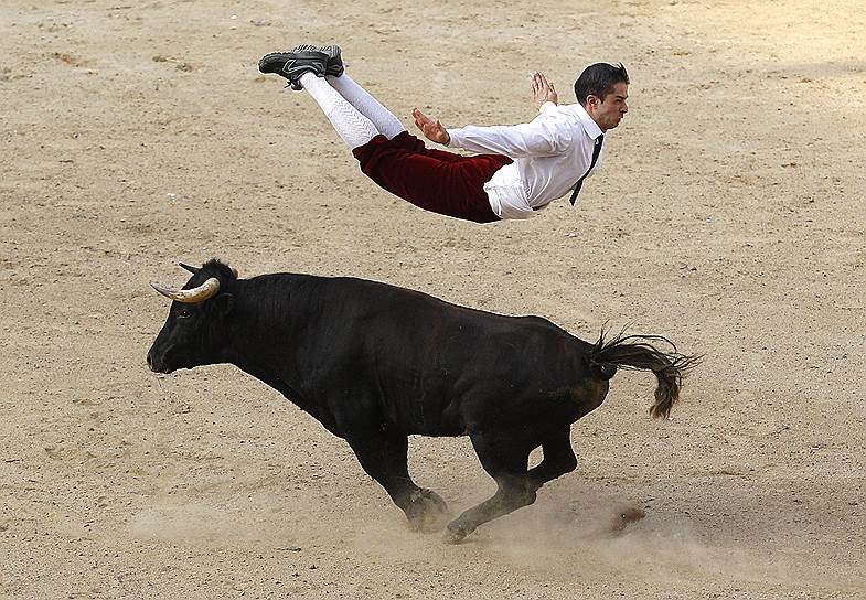 Кали, Колумбия. Испанский матадор во время шоу с быками 