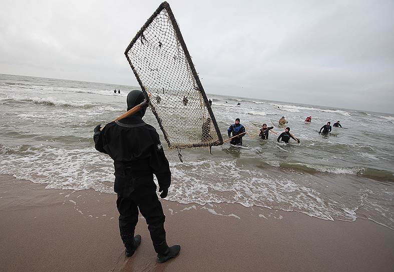 После шторма в Балтийском море со дна на берег выбросило тысячи кусочков драгоценного янтаря