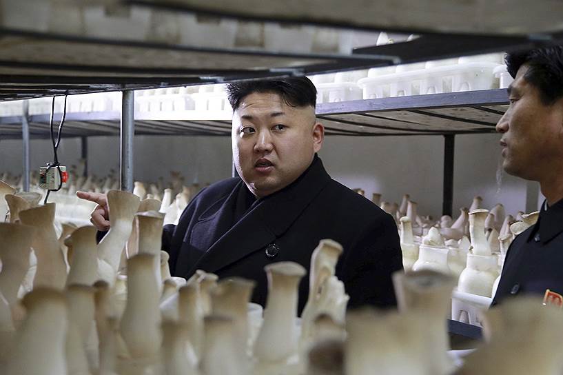 2015 год. Ким Чон Ын принимает только что построенную ферму по выращиванию грибов 