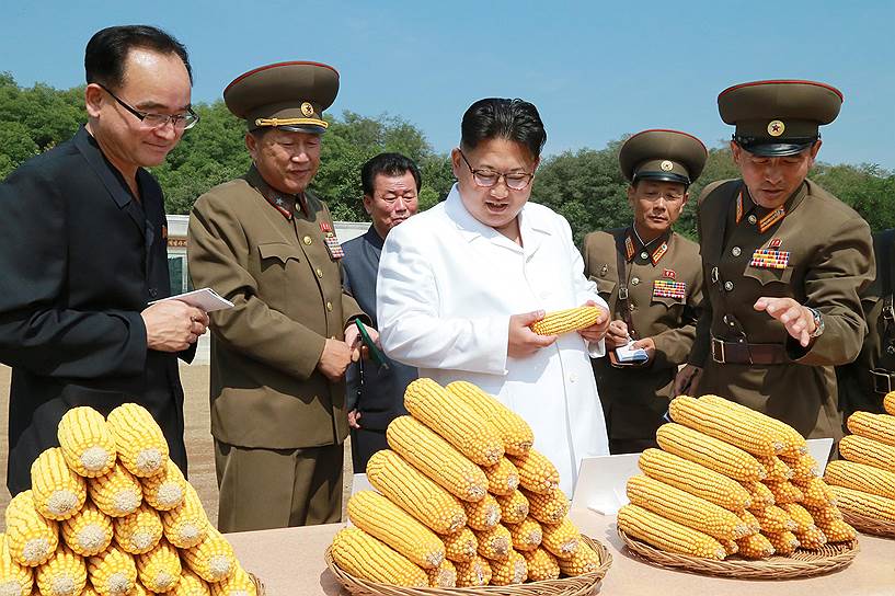 2016 год. Ким Чон Ын во время проверки одной из ферм, которую контролирует 810 подразделение Корейской народной армии