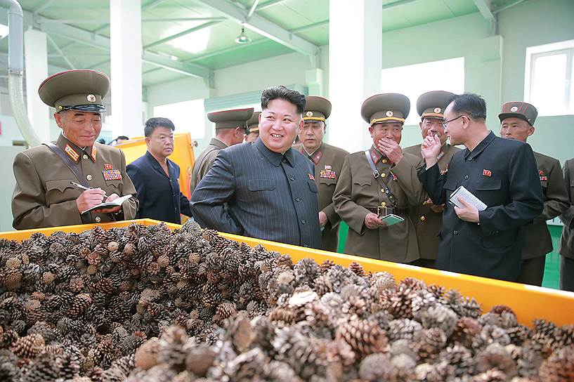 2016 год. Ким Чон Ын осматривает новую плантацию по выращиванию хвойных деревьев