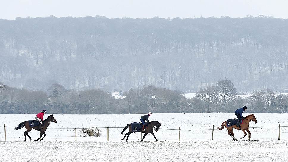 Чилтерн-Хилс, Великобритания. Всадники из конюшни Woodway скачут на лошадях после снегопада
