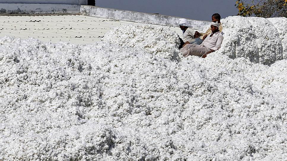 Кади, Индия. Рабочие отдыхают на хлопковом поле