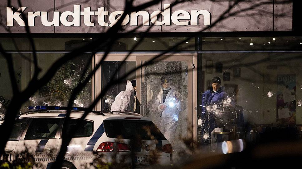 В датской полиции убеждены: подозреваемый действовал в одиночку